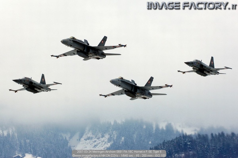 2007-03-24 Meiringen Airshow 0691 FA-18C Hornet e F-5E Tiger II.jpg